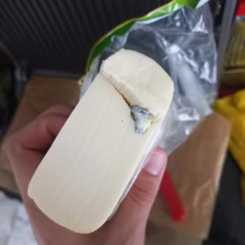 Torku Peynirden Vida Çıktı