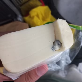 Torku Peynirden Vida Çıktı