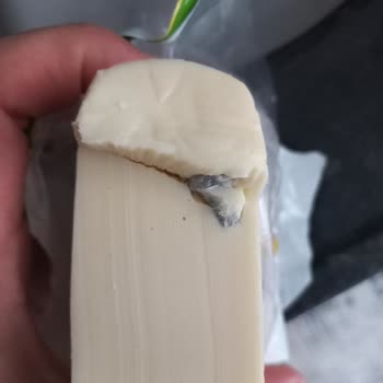 Torku Peynirden Vida Çıktı