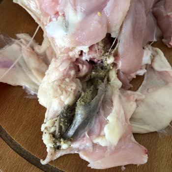 Şenpiliç Markalı Tavuktan Çıkan Yabancı Madde Şoku