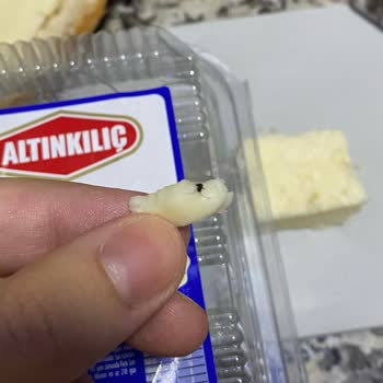 Altınkılıç Tam Yağlı Olgunlaştırılmış Klasik İnek Peyniri - Böcek