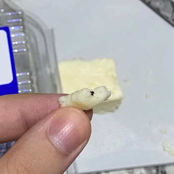 Altınkılıç Tam Yağlı Olgunlaştırılmış Klasik İnek Peyniri - Böcek