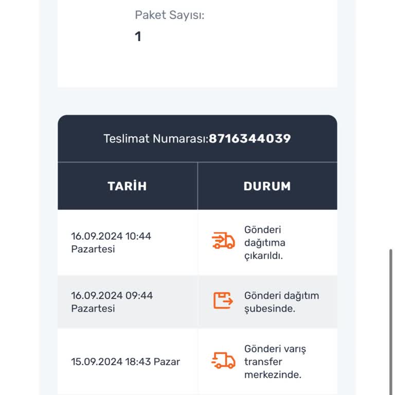 Sürat Kargo Dağıtım Ve Teslim Sorunu