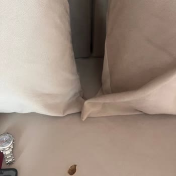 Etstur Balayı Konaklamasında Yaşanan Sorunlar Ve Hayal Kırıklığı