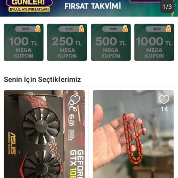 Trendyol Mega Kupon Alamama Sorunu