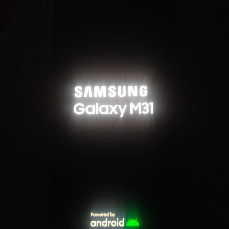 Samsung Galaxy M31 Donma Sorunu