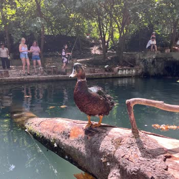 Анекс Тур Жалоба на экскурсию Kemer Nature