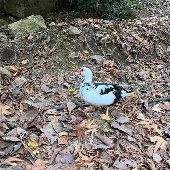 Анекс Тур Жалоба на экскурсию Kemer Nature