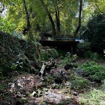 Анекс Тур Жалоба на экскурсию Kemer Nature