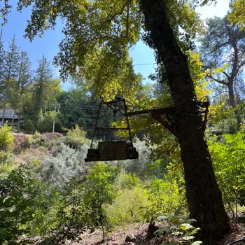 Анекс Тур Жалоба на экскурсию Kemer Nature