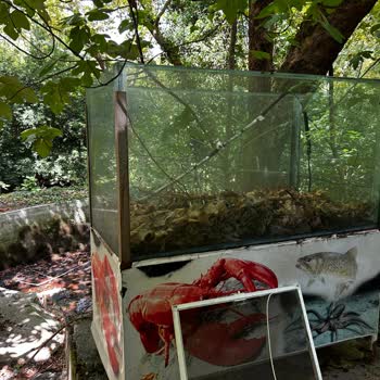 Анекс Тур Жалоба на экскурсию Kemer Nature