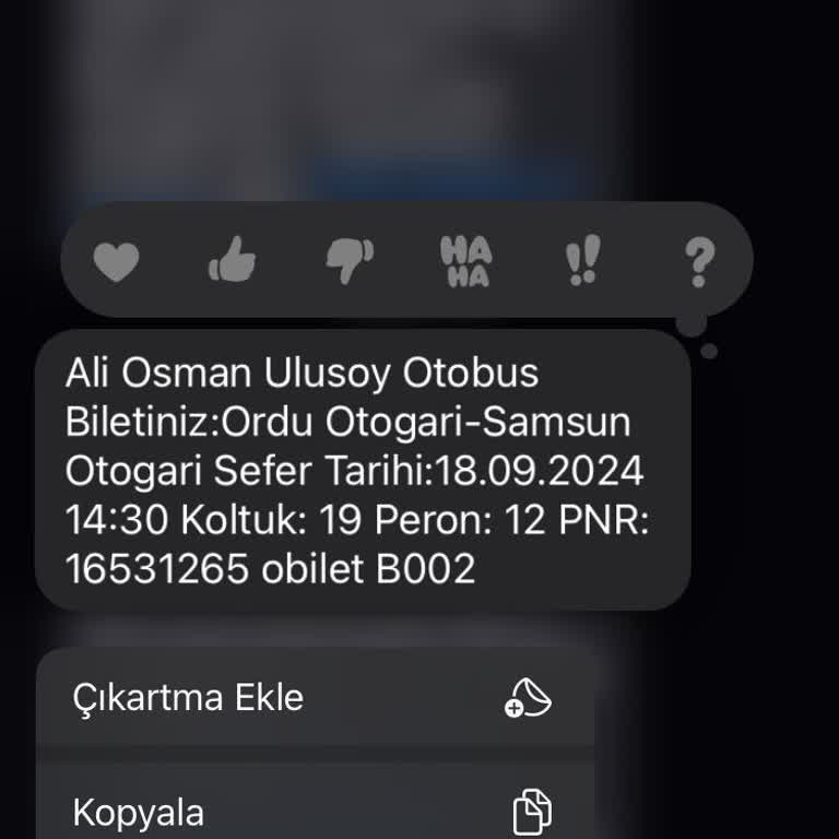 Ali Osman Ulusoy Personel Üslup Sorunu