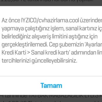 Cvhazirlama.cool CV Hazırlama Sitesinde Yaşanan Sorun Ve Yanıltıcı Hizmet