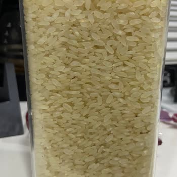 Reis Gıda Yeni Alınan Pirinçte Böcek Problemi