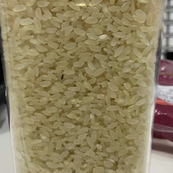 Reis Gıda Yeni Alınan Pirinçte Böcek Problemi