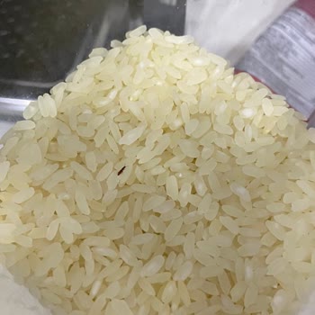 Reis Gıda Yeni Alınan Pirinçte Böcek Problemi