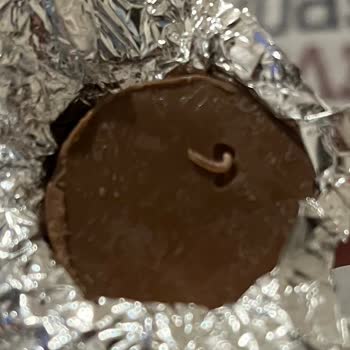 Ülker Çikolatada Beklenmedik Misafir