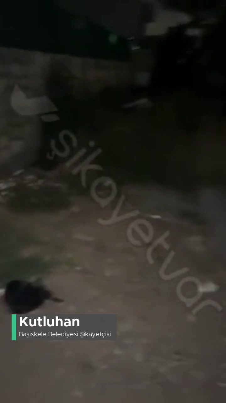 Başiskele Belediyesi Temizlik İşleri Bu Şekilde Mi Çalışıyor? videonun kapak resmi