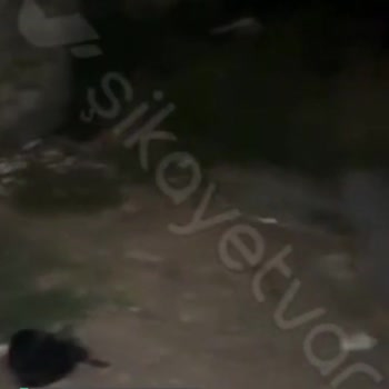 Başiskele Belediyesi Temizlik İşleri Bu Şekilde Mi Çalışıyor?