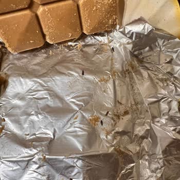 Eti Gıda Eti Gold Çikolata'da Böcek Çıktı
