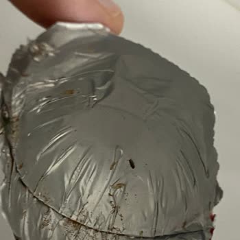 Ozmo Sürpriz Yumurtadan Kurt Böcek Çıktı