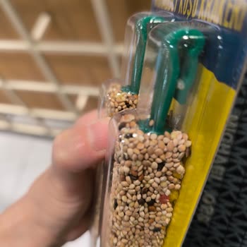 Pelagos Akvaryum Muhabbet Kuşu Yemi Böcekli