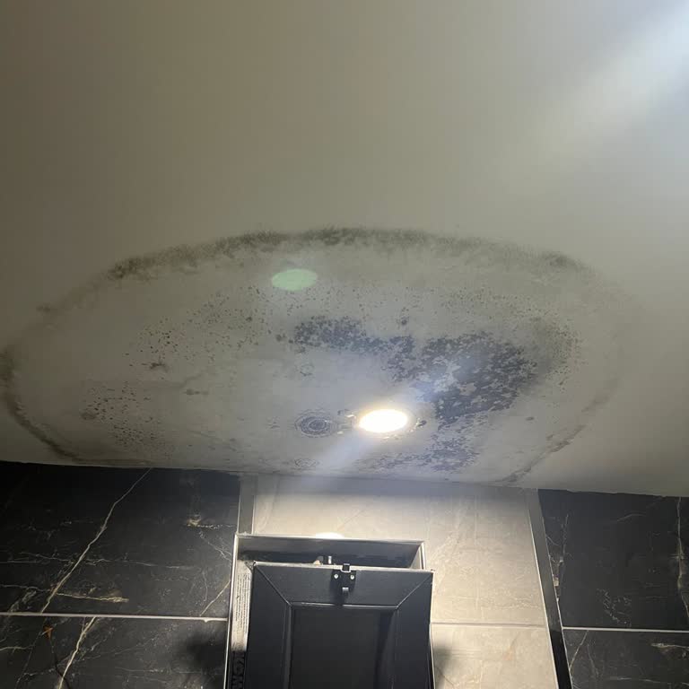 My Homes Apart Otel (Ordu) Böyle İşletmecilik Olamaz!