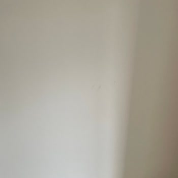 Filli Boya Renkleri Çok Kötü