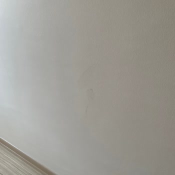 Filli Boya Renkleri Çok Kötü