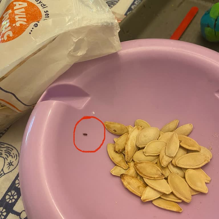 Migros Etiketli Böcekli Emsal Kuruyemiş Üretimi Kabak Çekirdeği