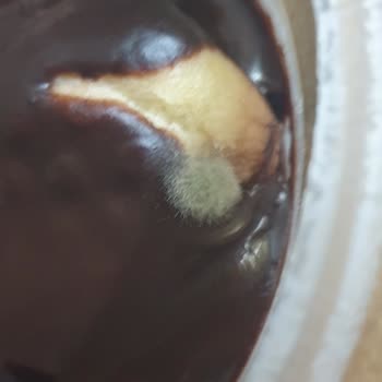 Eker Tatlının İçinde Küf Var