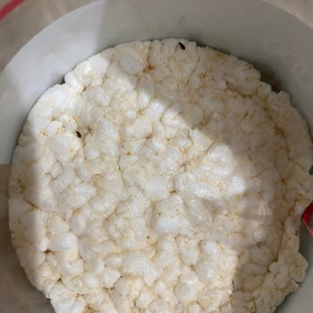 Wefood Pirinç Patlağı İçinde Böcek