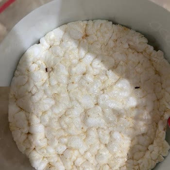 Wefood Pirinç Patlağı İçinde Böcek