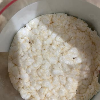 Wefood Pirinç Patlağı İçinde Böcek