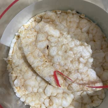 Wefood Pirinç Patlağı İçinde Böcek