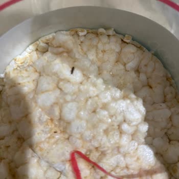 Wefood Pirinç Patlağı İçinde Böcek