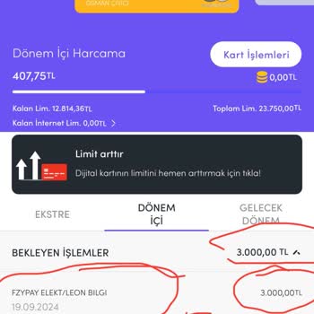 Fzypay Elekt Leon Bilgi Adı Altında Bilgim Dışında Para Çekilmiştir.