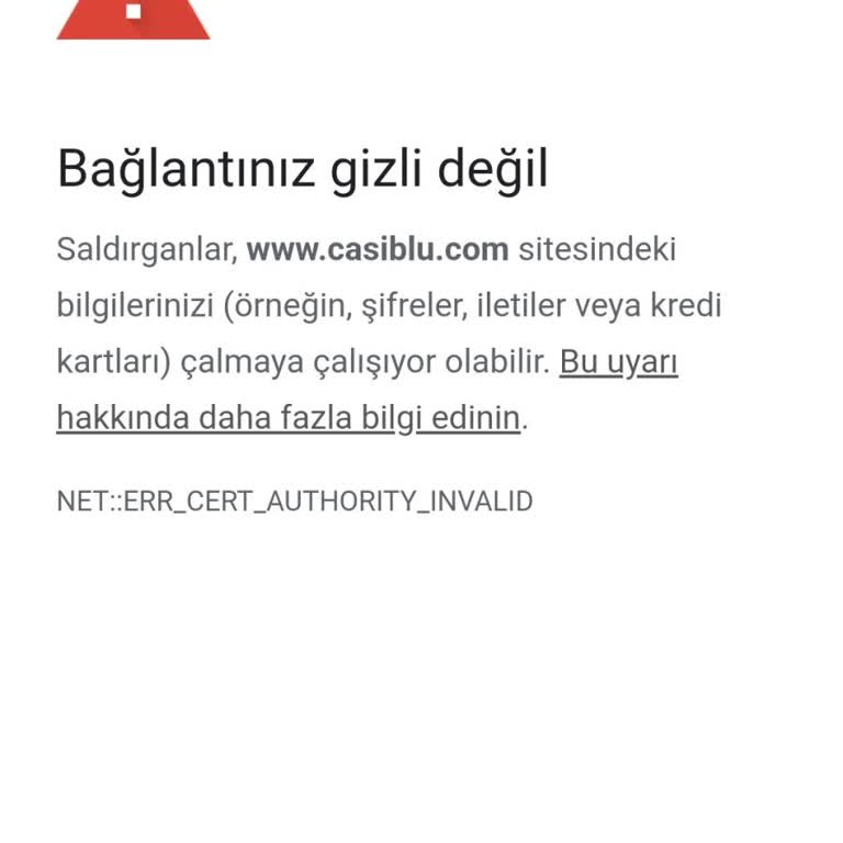 Casiblu Siteye Giriş Yapamıyorum