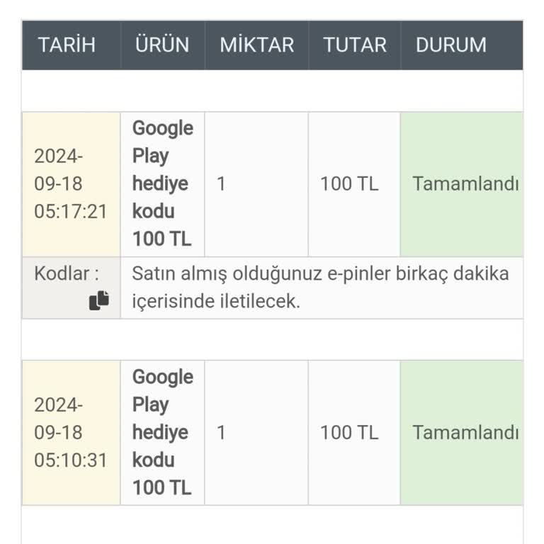 Www.epin.com.tr Hizmet Bekliyorum
