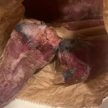 Avokadocu Ayşe Küflü Ve Ezilmiş Ürün Gönderimi