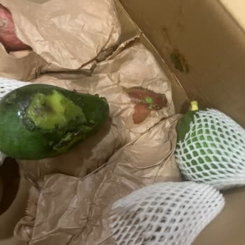 Avokadocu Ayşe Küflü Ve Ezilmiş Ürün Gönderimi