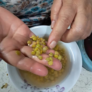 Tarım Kredi Kooperatif Market Böcek Çıktı Yeşil Mercimekten