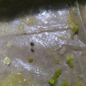 Koçak Baklava'da Beklenmedik Kalite Sorunu