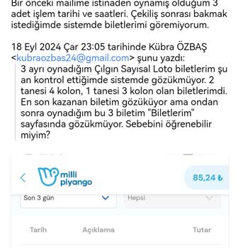 Sayısal Loto Biletlerim Sistemde Gözükmüyor.