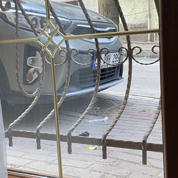 İstanbul Büyükşehir Belediyesi Mantar Kaldırım Yapılmasını İstiyorum Ağaç Ekin Başka Bir Şey