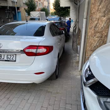 İstanbul Büyükşehir Belediyesi Mantar Kaldırım Yapılmasını İstiyorum Ağaç Ekin Başka Bir Şey