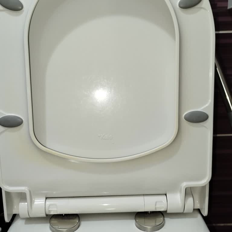 Kale Marka Klozet Kapaklarında Sürekli Sararma Sorunu