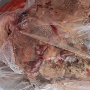 Samsung İlgisizliği Saygısızlığı Vurdumduymaz Tavrı