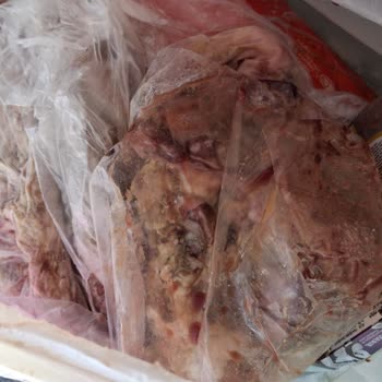 Samsung İlgisizliği Saygısızlığı Vurdumduymaz Tavrı