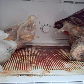 Samsung İlgisizliği Saygısızlığı Vurdumduymaz Tavrı